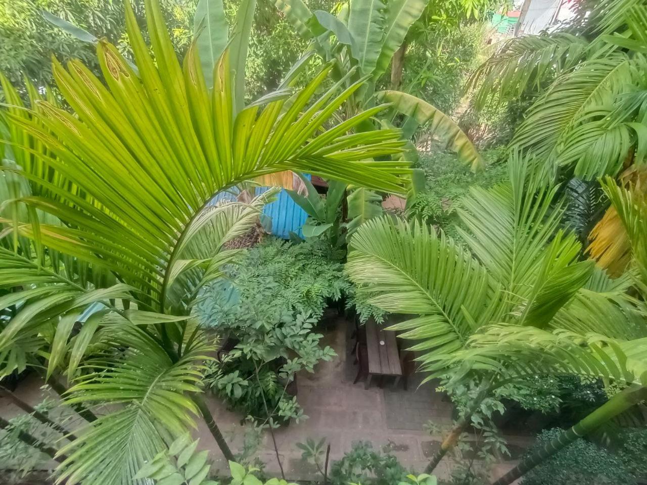 Green Stay Village Siem Reap Luaran gambar