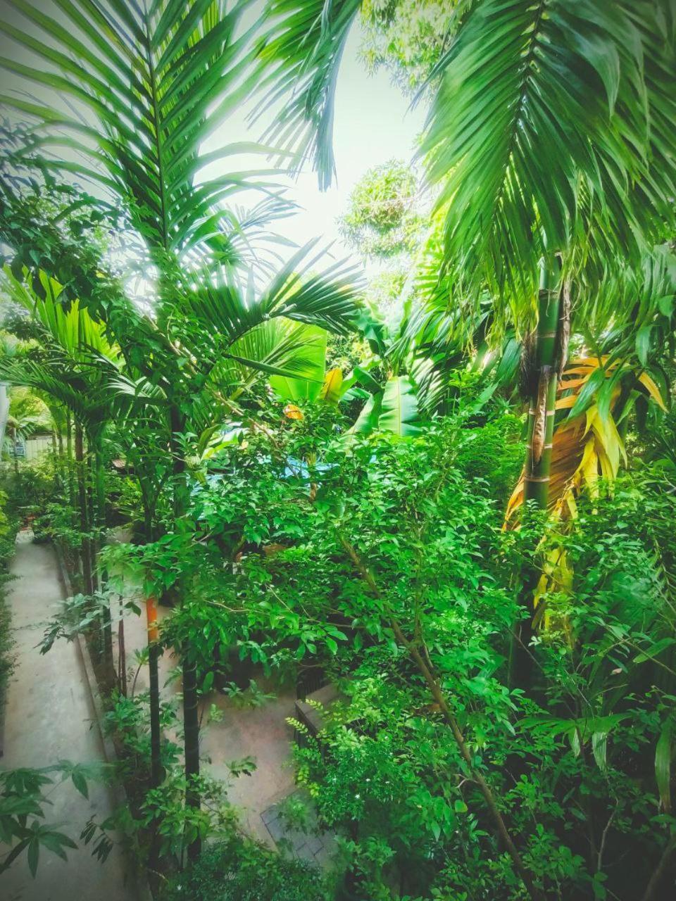 Green Stay Village Siem Reap Luaran gambar